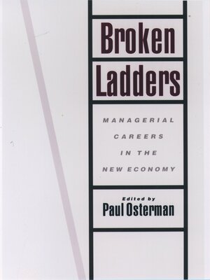 cover image of Broken Ladders
